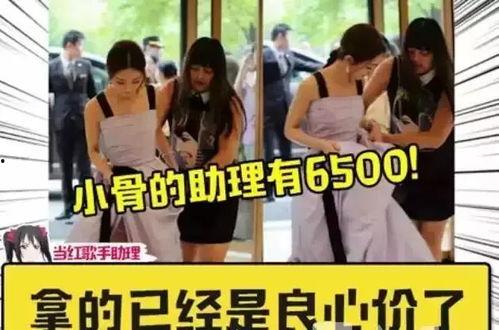 明星助理待遇,奢华生活背后的辛酸与荣耀
